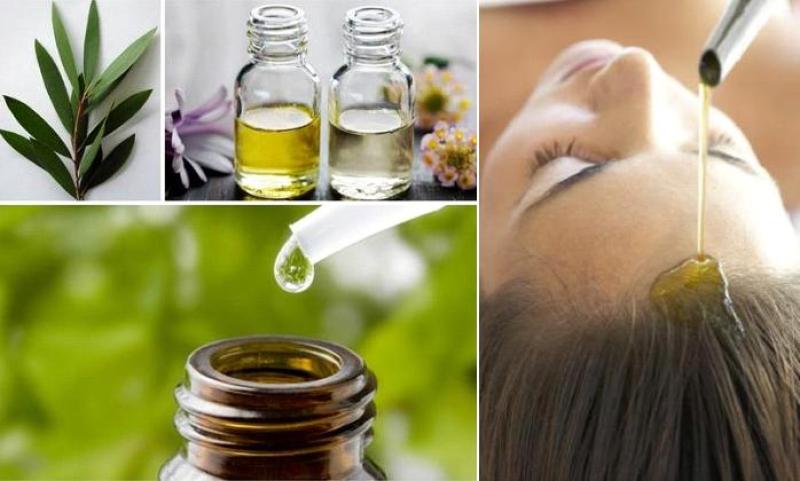 07 chăm sóc từ thiên nhiên 07 chăm sóc từ thiên nhiên